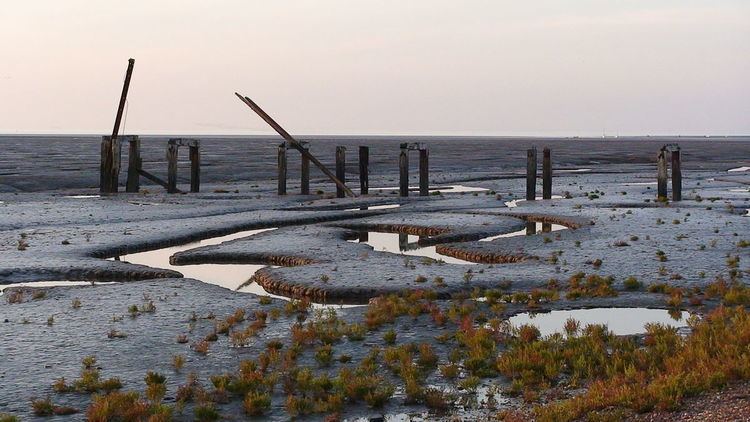 Snettisham RSPB reserve
