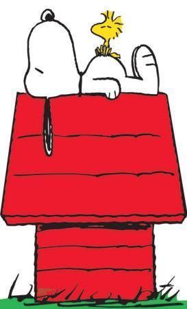 Snoopy 1000 ideas about Snoopy on Pinterest Peanuts quotes Peanuts and