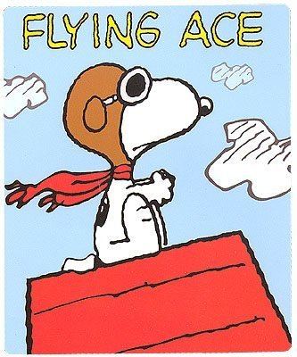 Snoopy Flying Ace Amazoncom Peanuts Snoopy Flying Ace Fleece Throw Blanket Home