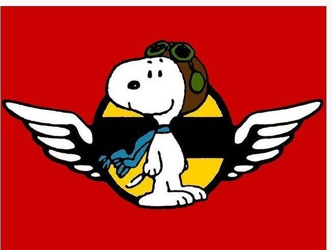 Snoopy Flying Ace Snoopy Flying Ace Wings Snoopy Flying Aces Pinterest Wings