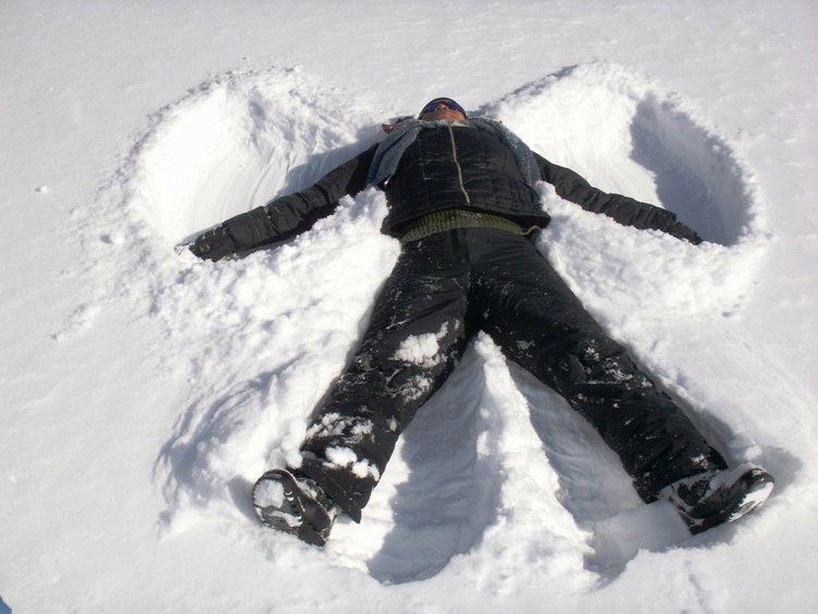 Snow angel httpssmediacacheak0pinimgcomoriginals82