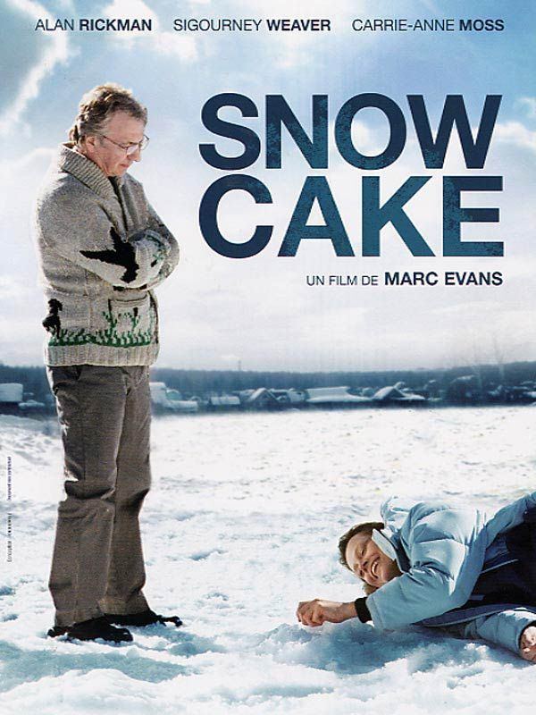 Snow Cake Best 25 Snow cake ideas on Pinterest Christmas cake decorations