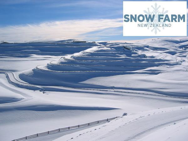 Snow Farm, New Zealand Things to do in Wanaka during your stay at Lakeview Motel