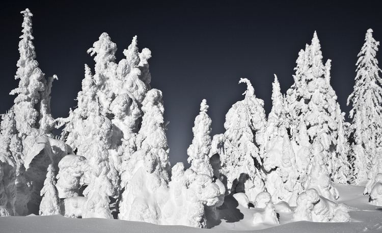 Snow Ghosts snow ghosts a photo from British Columbia Western TrekEarth