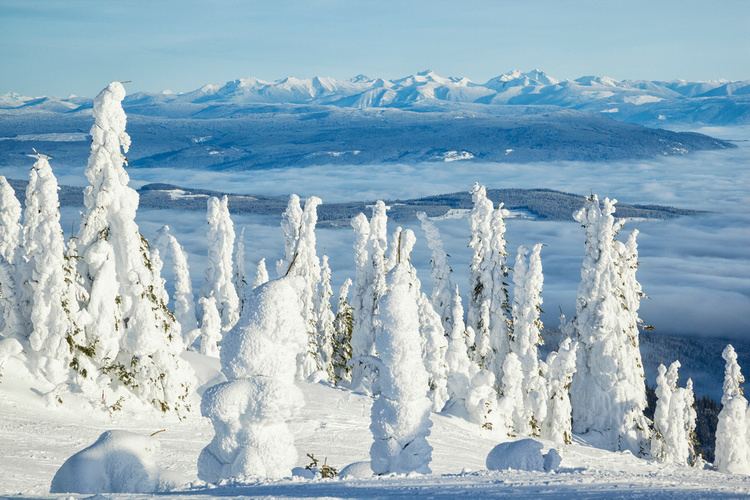 Snow Ghosts Carl Hanninen Snow Ghosts of Silver Star