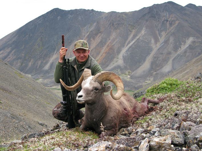Snow sheep Snow Sheep hunting in Russia Stalker Group
