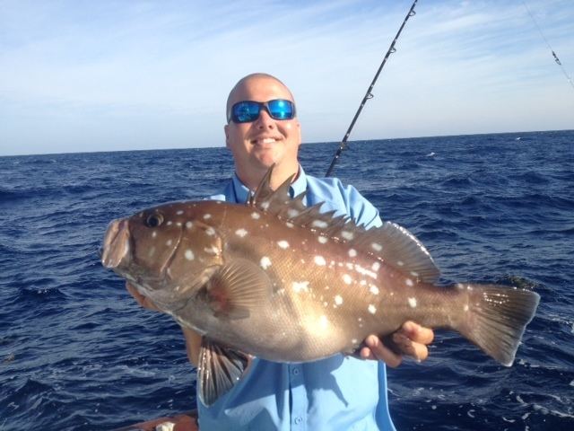 Snowy grouper islamorada snowy grouper Fishing Islamorada