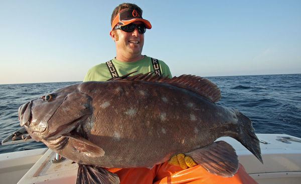 Snowy grouper Worldrecord snowy grouper is official Salt Water Sportsman