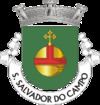 São Salvador do Campo httpsuploadwikimediaorgwikipediacommonsthu