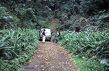 São Tomé, Príncipe, and Annobón moist lowland forests httpsuploadwikimediaorgwikipediacommonsthu