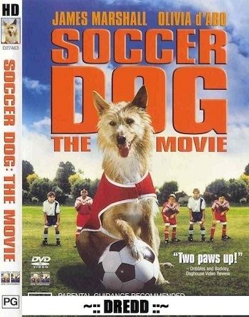 Soccer Dog: The Movie Soccer Dog The Movie 1999 Dual Audio Hindi 720p HDRip 800mb 9xmovies