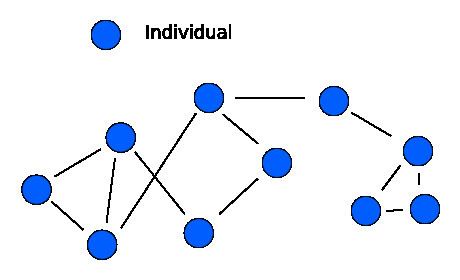 Social network (sociolinguistics)