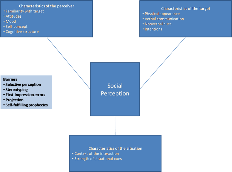 social perception essay