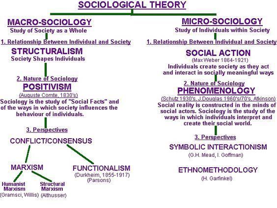 Sociological theory httpssmediacacheak0pinimgcom564xd2e547