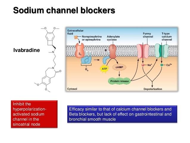 Sodium channel blocker Ischemic heart disease 2012 ji li