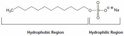 Sodium dodecyl sulfate Detergent Properties and Applications SigmaAldrich