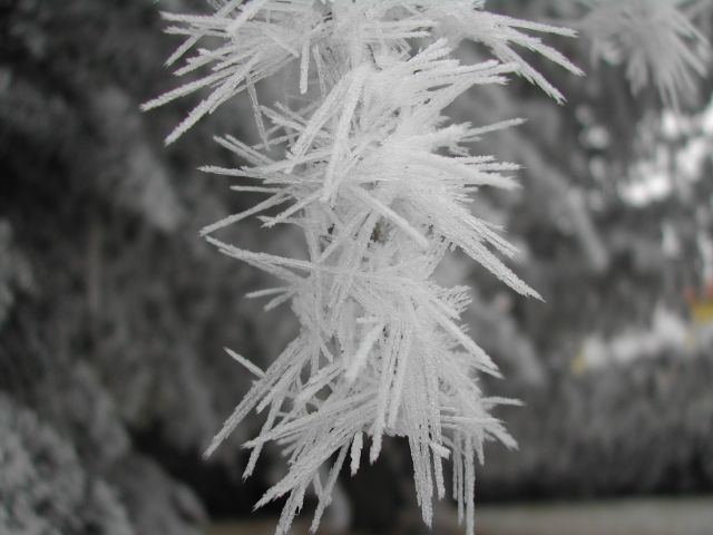 Soft rime