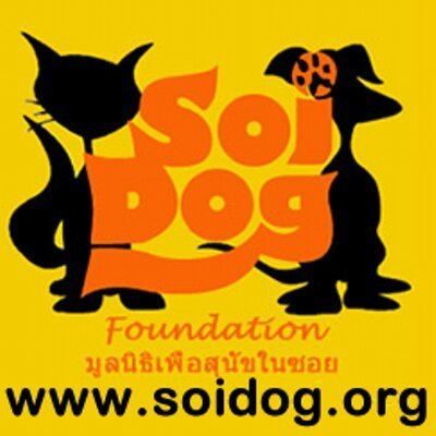 Soi Dog Foundation Dogs For Adoption Peace Fur Paws