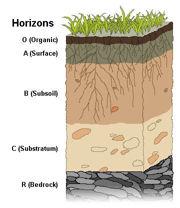 Soil fertility