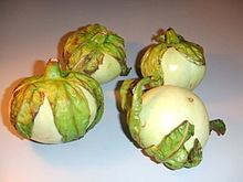 Solanum macrocarpon httpsuploadwikimediaorgwikipediacommonsthu