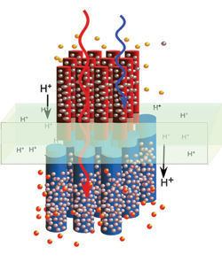 Solar fuel Powering the planet with solar fuel Article Nature Chemistry