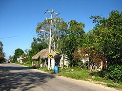 Solferino, Quintana Roo httpsuploadwikimediaorgwikipediacommonsthu