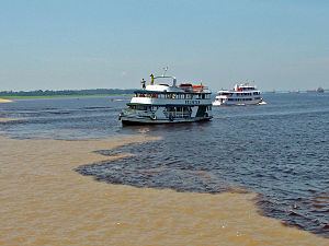 Solimões River httpsuploadwikimediaorgwikipediacommonsthu