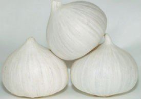 Solo garlic Solo Garlic Solo Garlic Suppliers and Manufacturers at Alibabacom