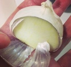 Solo garlic Solo Garlic Single Clove Garlic Suppliers Traders amp Manufacturers
