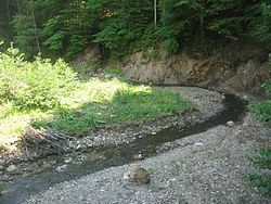 Soloneț River (Suceava) httpsuploadwikimediaorgwikipediacommonsthu