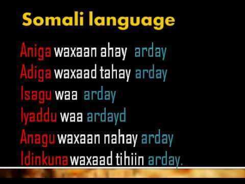 Somali language Somali Language lesson01 YouTube