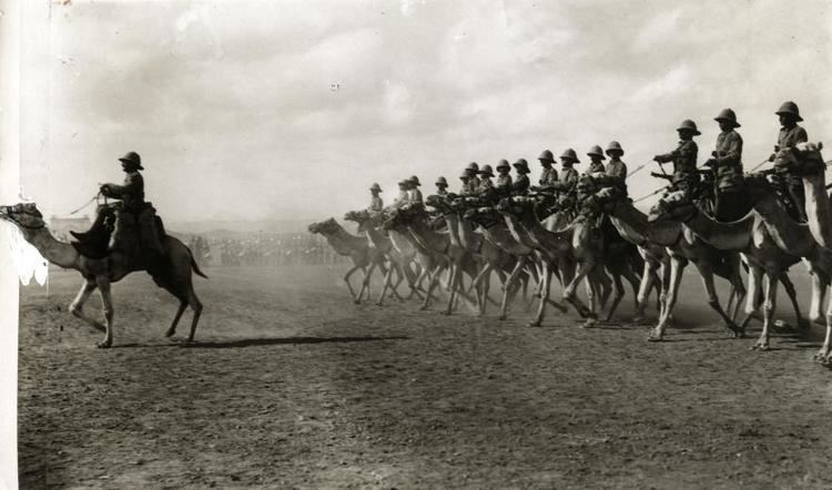 Somaliland Camel Corps