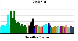 Somatostatin receptor 2