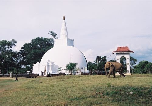 Somawathiya National Park Somawathiya Chethiya Somawathi Stupa Sri Lanka