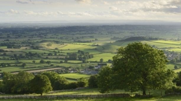 Somerset Levels Rural breaks in the Somerset Levels VisitEngland