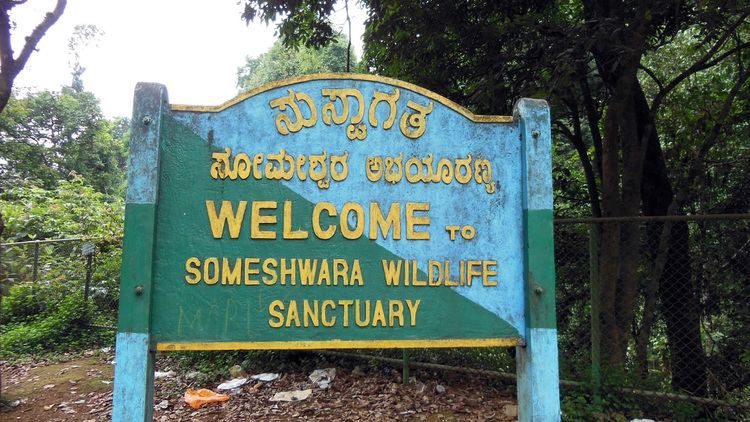 Someshwara Wildlife Sanctuary Visit Someshwara Wildlife Sanctuary and tourist places near