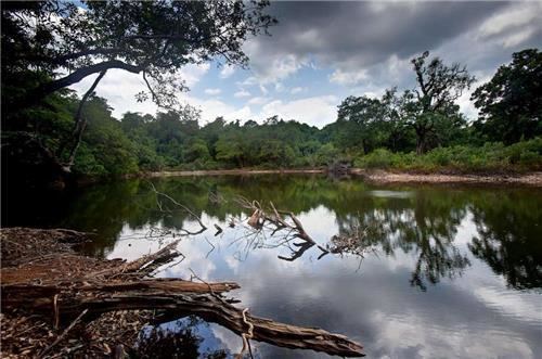 Someshwara Wildlife Sanctuary Someshwara Wildlife Sanctuary Near Udupi Wildlife Reserve Udupi