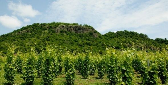 Somló Soml Wine Region Hungary