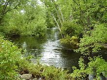 Somo River httpsuploadwikimediaorgwikipediacommonsthu