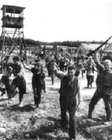 Sonderaktion 1005 Levantamientos en los campos de concentracin Taringa
