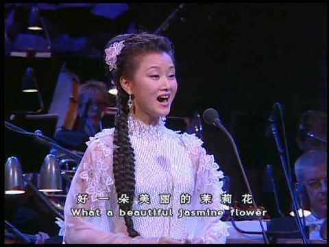 Song Zuying Song Zuying Jasmine Flower YouTube