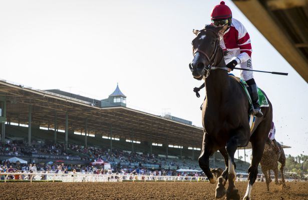 Songbird (horse) Smith Says All Systems Go for Songbird Horse Racing Nation