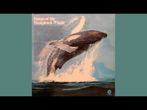 Songs of the Humpback Whale (album) httpsiytimgcomvip7QrQ0cbpghqdefaultjpg