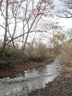 Sonoita Creek httpsuploadwikimediaorgwikipediacommonsthu