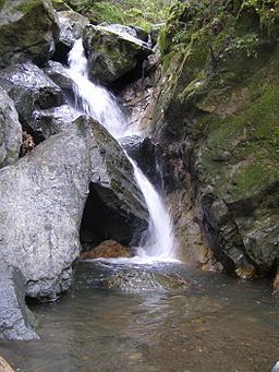 Sonoma Creek httpsuploadwikimediaorgwikipediaenthumb9
