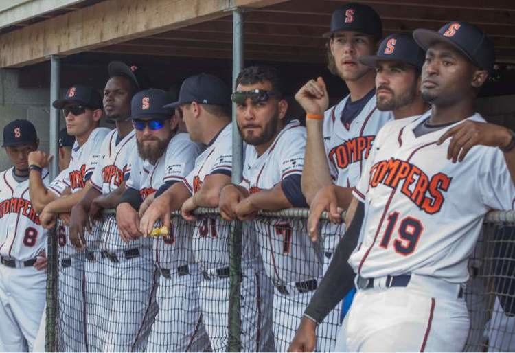 Sonoma Stompers After Three Weeks Stompers Are Gold Standard Of Pacific Association