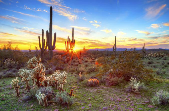 Sonoran Desert The 10 Best Sonoran Desert Tours Trips amp Tickets Phoenix Viator