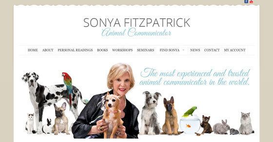 Sonya Fitzpatrick Sonya Fitzpatrick Animal CommunitcatorSonya Fitzpatrick Animal