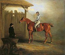 Soothsayer (horse) httpsuploadwikimediaorgwikipediacommonsthu