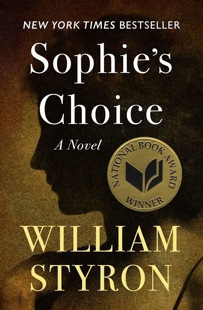 Sophie's Choice (novel) t1gstaticcomimagesqtbnANd9GcQlh8SsUHqN6rtOfI